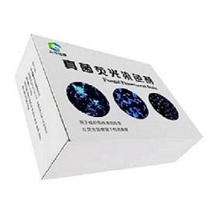 ���ӫ��ȾɫҺ�������������ٴ������� ���ټ��