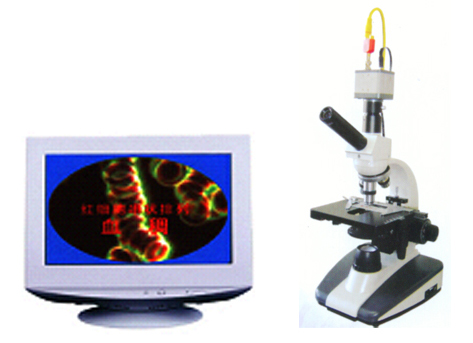 MDIһ��Ѫ�����