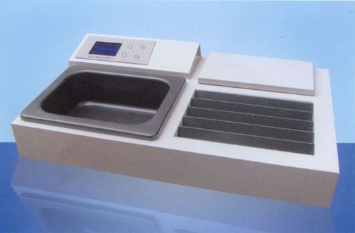 ������̯֯��Ƭ��