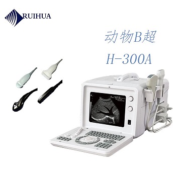 ����B����-����B�������