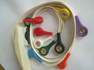 �����ĵ絼����