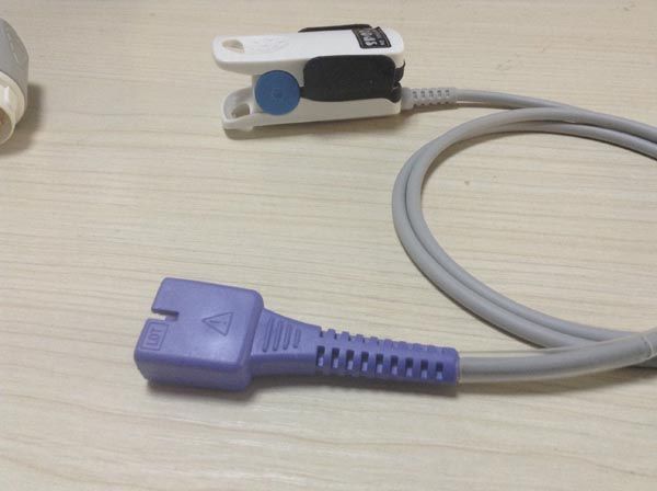 ����໤�ǵ��