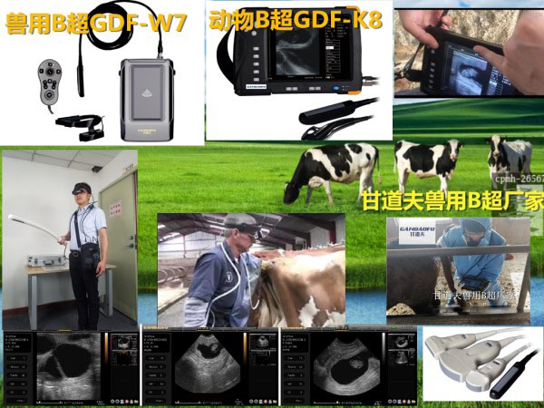 ����B��GDF-W7