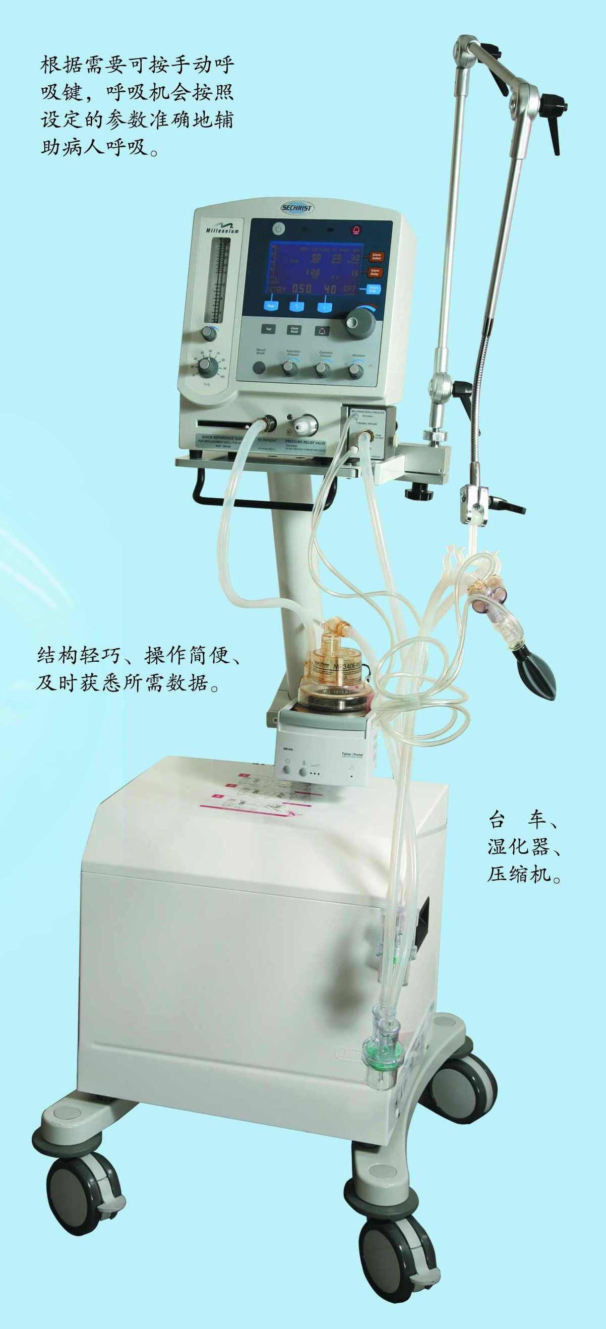 Ǫ��Ӥ�׶�������