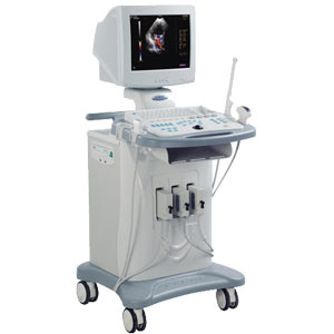 ��ӥ��ɫ�����ճ�������ϵͳ���ʳ���