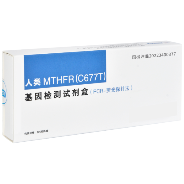 ����MTHFR��C677T���������Լ���