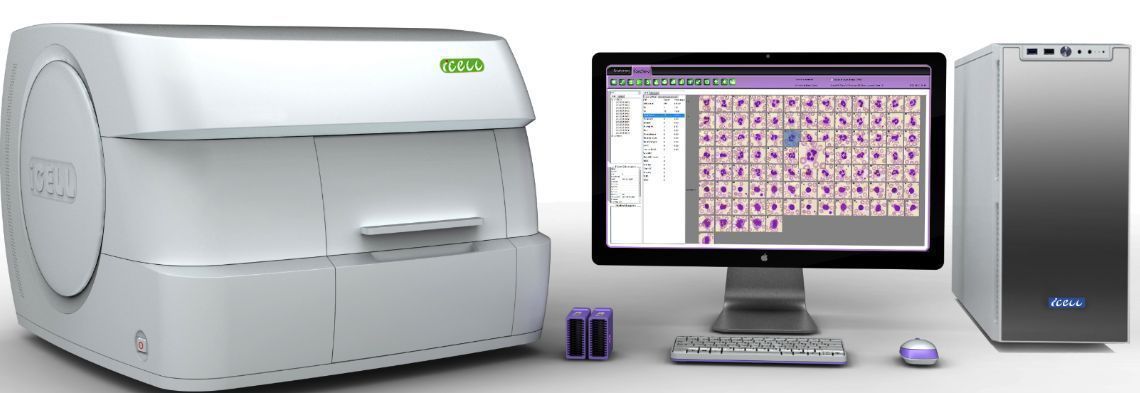 ȫ�Զ�Ѫϸ����̬ѧ������