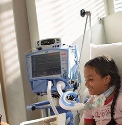 ���ƺ�����