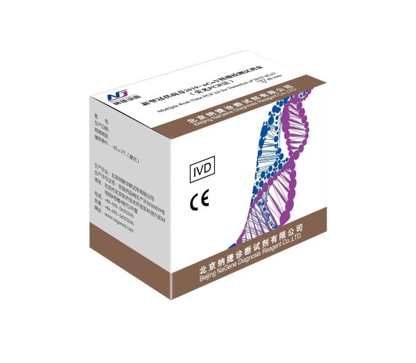 ���͹�״���� 2019-nCoV �������Լ��У�ӫ�� PCR ����