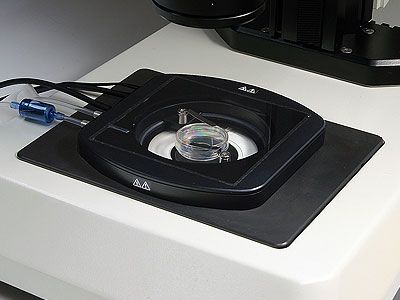 ������΢���������°�