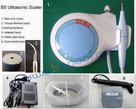 B5����������