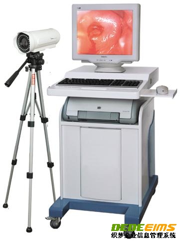 �����������������