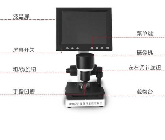 ΢ѭ�������� ��΢�۲���