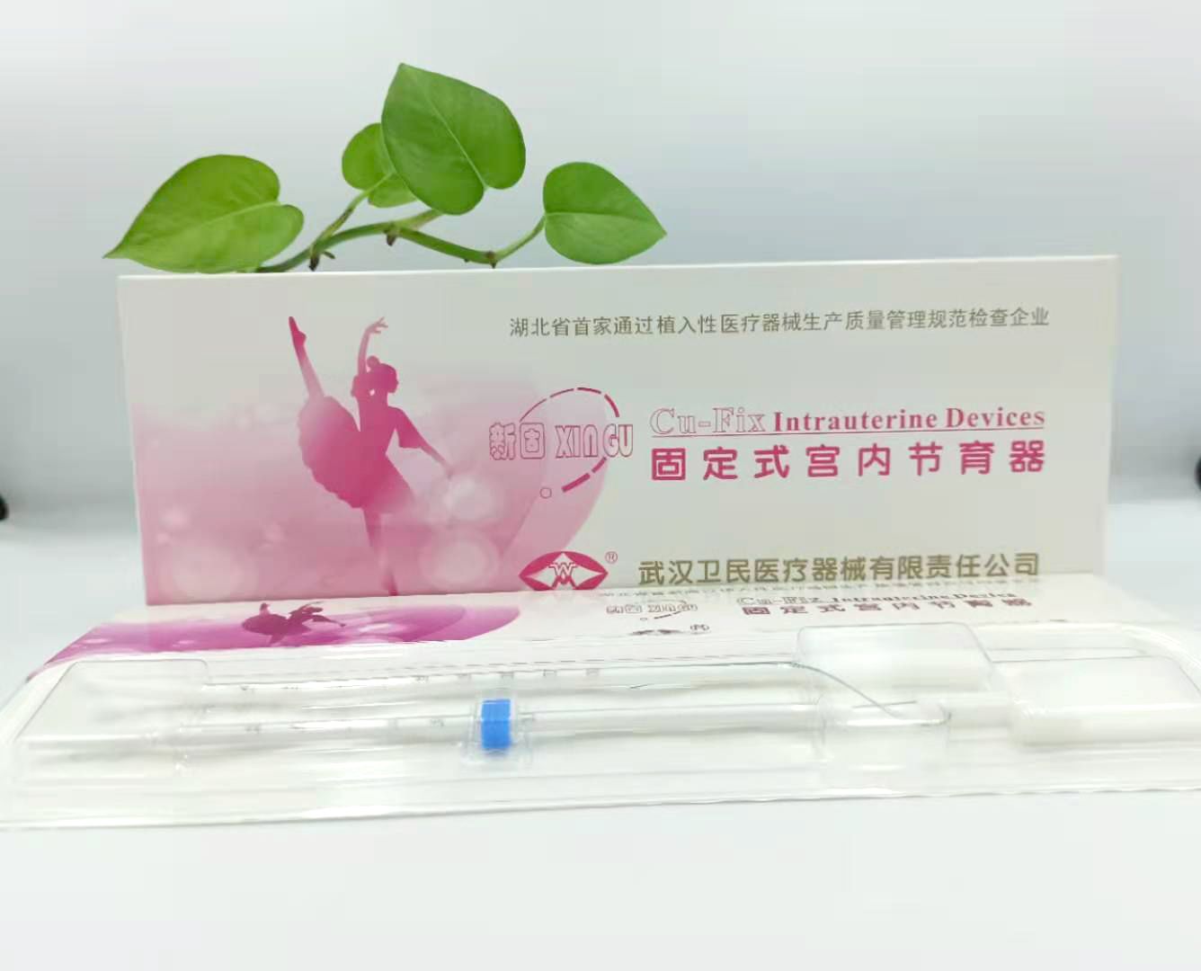 ���� �¹� �̶�ʽ���ڽ�����