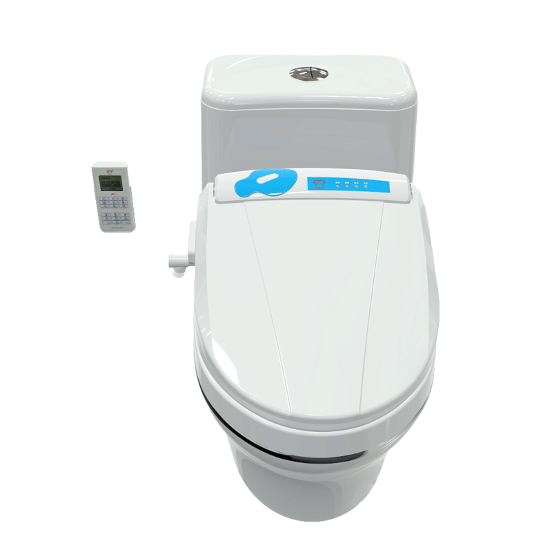 ����Ѭ��������