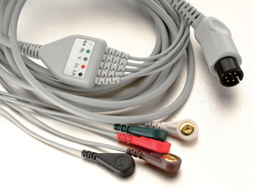 �໤�ǵ�����