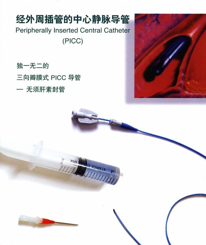 �͵��������ľ�������