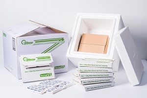 Sepio 2-8�ȱ�����