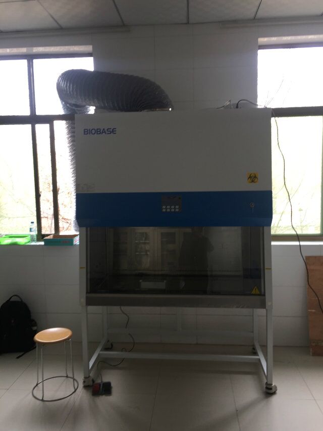 ҽ��˫�����ﰲȫ��