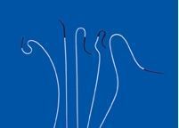 ��Ӱ����COOK