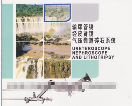 ����wolf��Ƥ����8964.401��8964.421