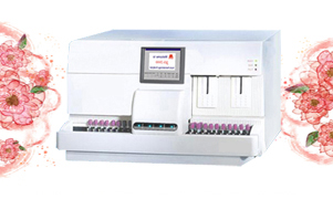 ĸ�������