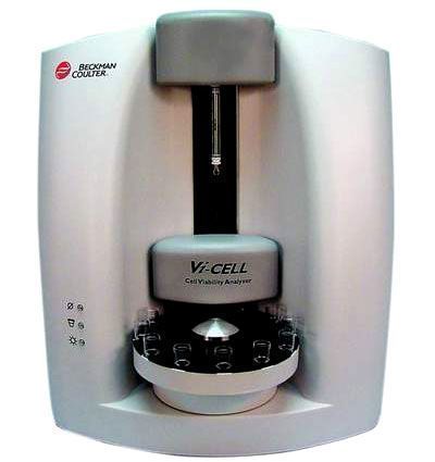 ϸ������������