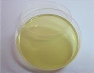 ɳ������֬ƽ��