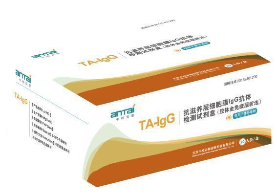 ��������ϸ��ĤIgG�������Լ��У���������߲�������