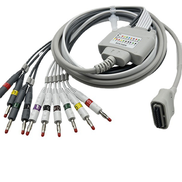 ��ķ�ĵ絼���� 12�� �ĵ��¼��