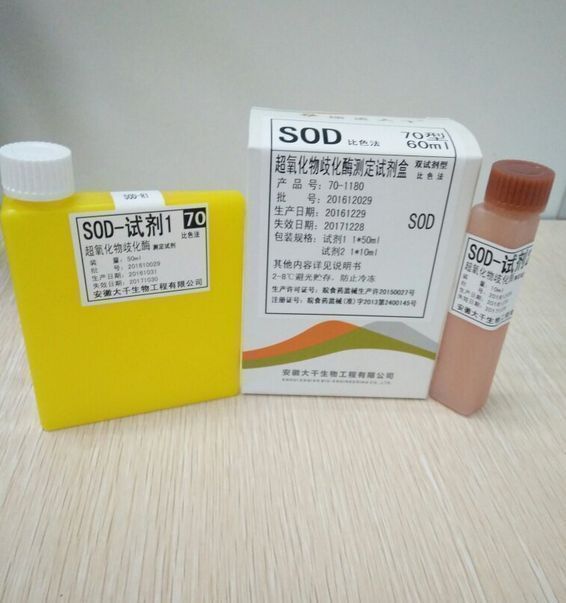 ���������绯ø��SOD������Լ���