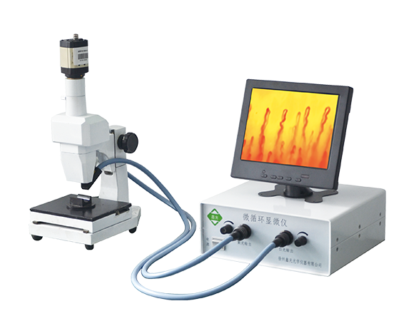 ΢ѭ����΢��