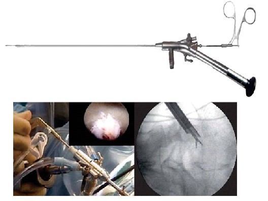 ����׵��׾�