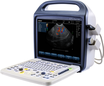 C5Vet���òʳ�