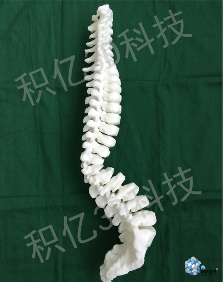 3D��ӡ�����滮ģ��