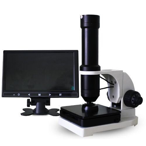 ����΢ѭ������Ƿ���