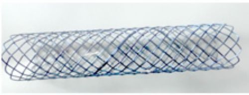 ����֧��