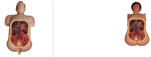 �߷��������ھ�����ѵ������ģ��