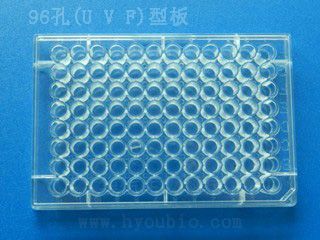 96��(U V F)�Ͱ�