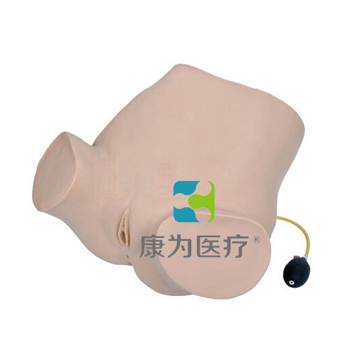 �Ĳ�����ز顢��������⿼��ָ��ģ��