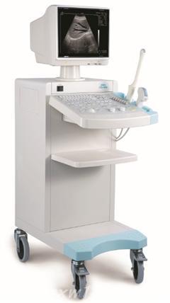 ��ͷ����