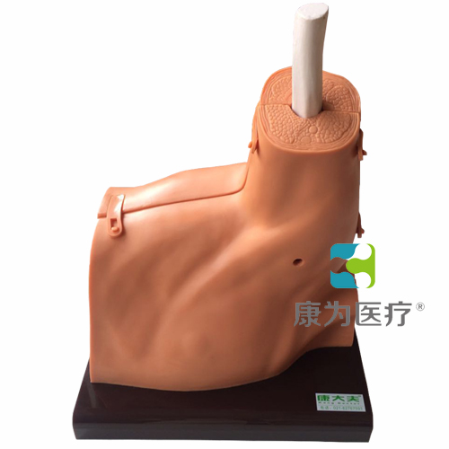 ��ؽھ����ģ�ͣ�2017��Ʒ��