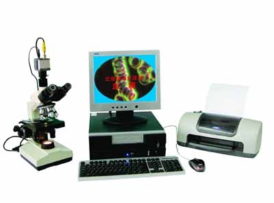 MDIһ��Ѫ�����