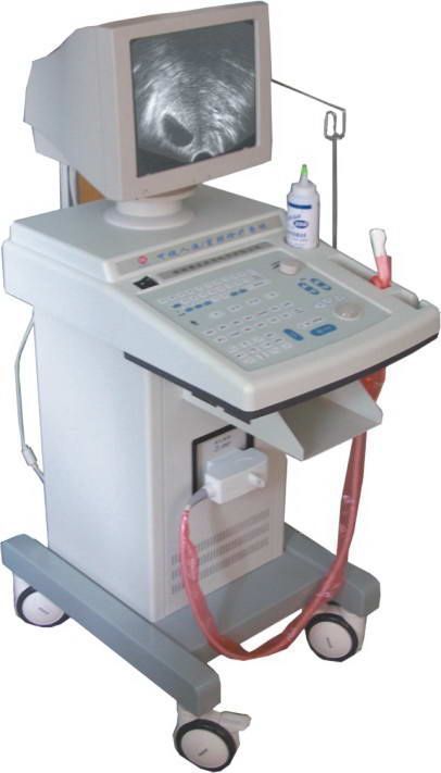 B�����Ӹ�����������