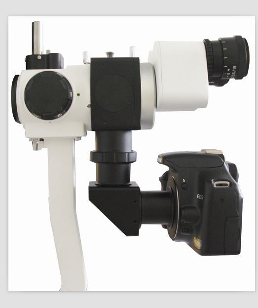 ������϶��