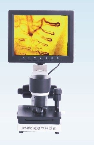 ��ɫ΢ѭ�������