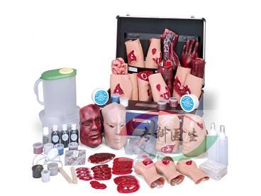 ȫ��E.M.T.����ģ��Ԫ��