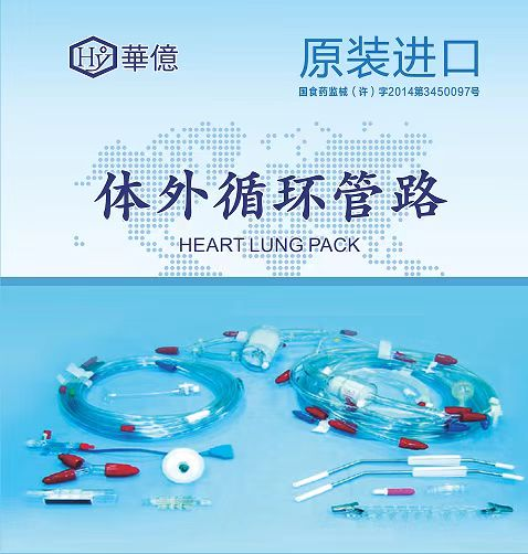 ����ѭ����·