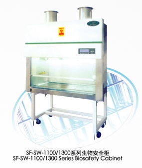 ���ﰲȫ��