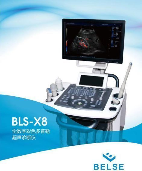 ȫ���ֲ�ɫ�����ճ��������